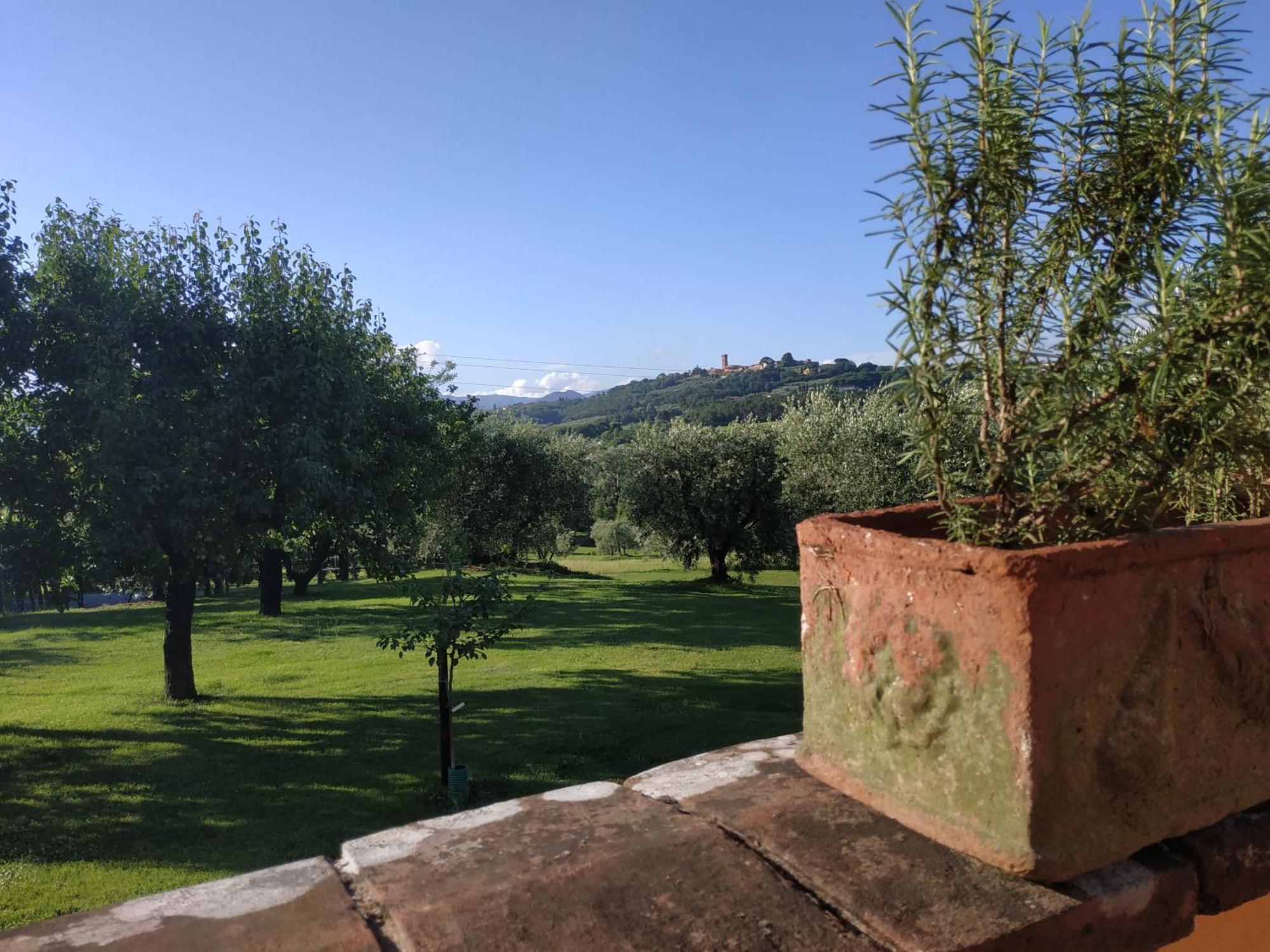 B&B La Casetta Montecarlo Cameră foto