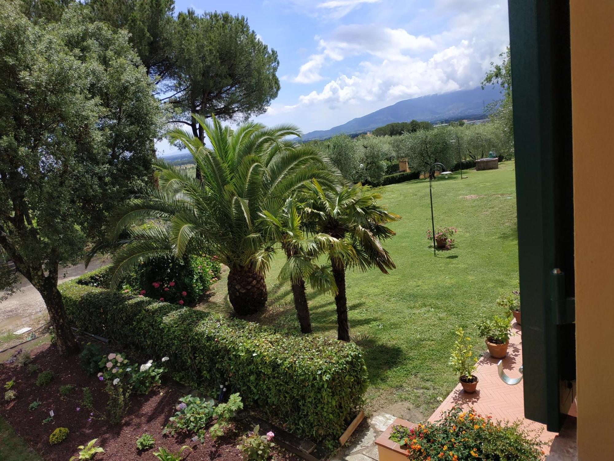 B&B La Casetta Montecarlo Cameră foto